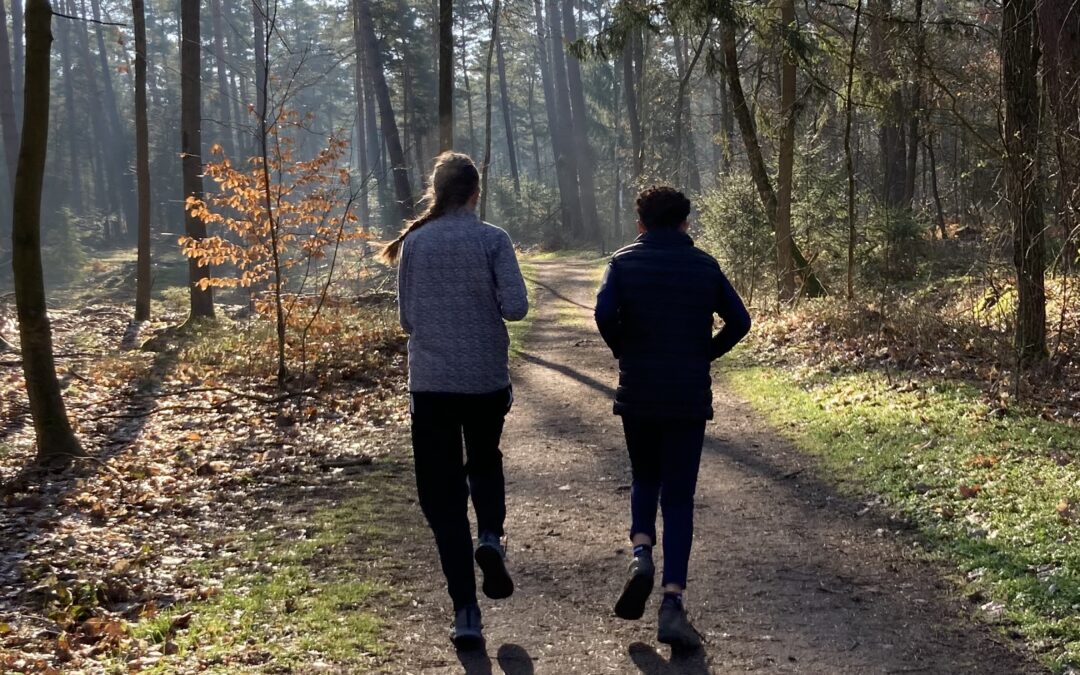 Zwei Menschen joggen auf einem sonnenbeschienenen Waldweg, umgeben von hohen Bäumen und grünem und braunem Laub. Lange morgendliche Schatten erstrecken sich hinter ihnen auf dem unbefestigten Weg.